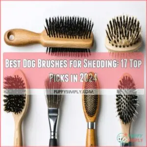 best dog brushes for shedding