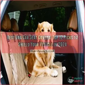 best dog car seat covers