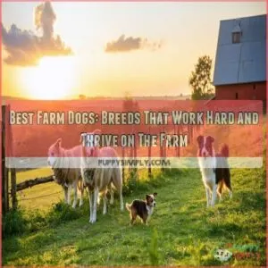 best farm dogs