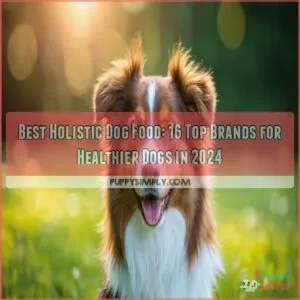 best holistic dog food