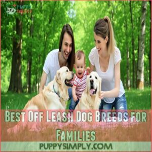 Best Off Leash Dog Breeds for Families