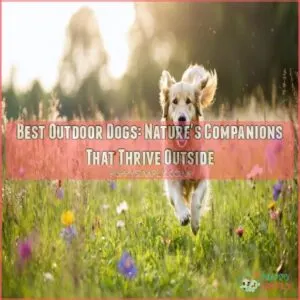 best outdoor dogs