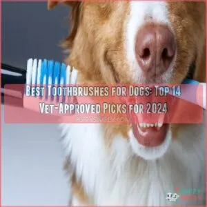 best toothbrushes for dogs