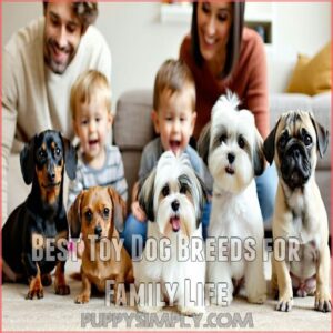 Best Toy Dog Breeds for Family Life