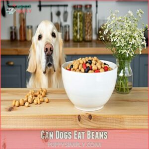 can dogs eat beans