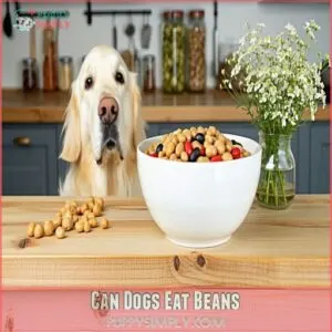 Can Dogs Eat Beans