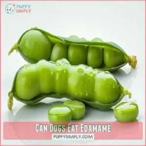 Can Dogs Eat Edamame