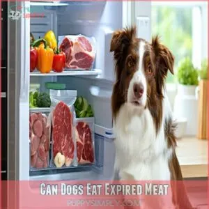 Can Dogs Eat Expired Meat