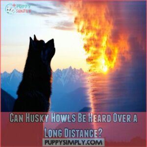 Can Husky Howls Be Heard Over a Long Distance