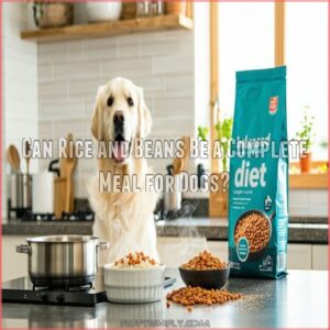 Can Rice and Beans Be a Complete Meal for Dogs