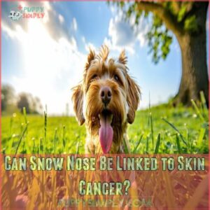 Can Snow Nose Be Linked to Skin Cancer