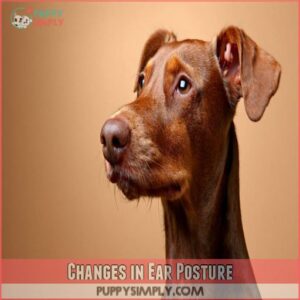 Changes in Ear Posture