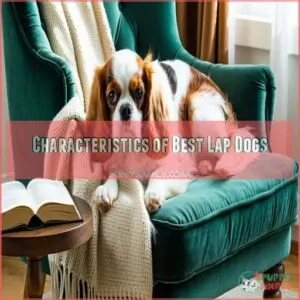 Characteristics of Best Lap Dogs