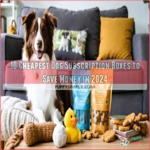 cheapest dog subscription boxes