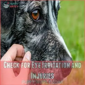 Check for Eye Irritation and Injuries