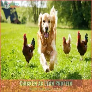 Chicken as Lean Protein