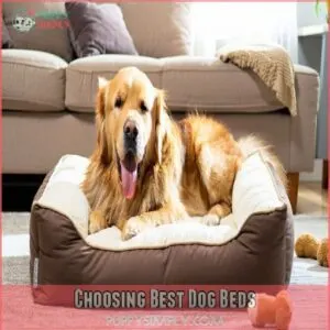 Choosing Best Dog Beds