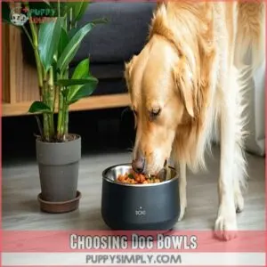 Choosing Dog Bowls