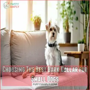 Choosing The Best Bark Collar for Small Dogs