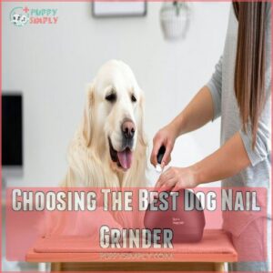 Choosing The Best Dog Nail Grinder