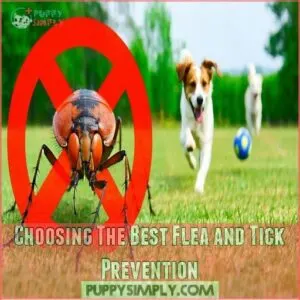 Choosing The Best Flea and Tick Prevention