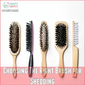 Choosing The Right Brush for Shedding