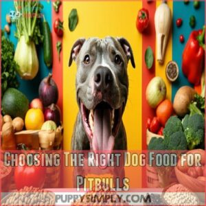 Choosing The Right Dog Food for Pitbulls