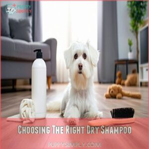 Choosing The Right Dry Shampoo