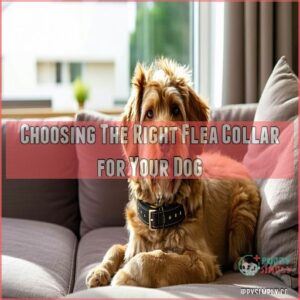 Choosing The Right Flea Collar for Your Dog