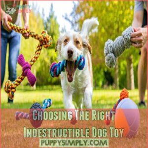 Choosing The Right Indestructible Dog Toy