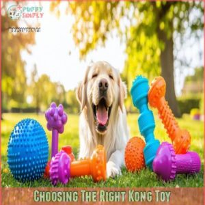 Choosing The Right Kong Toy