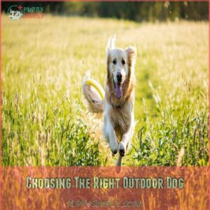 Choosing The Right Outdoor Dog