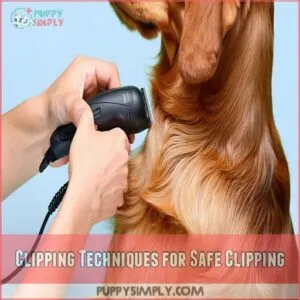 Clipping Techniques for Safe Clipping