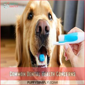 Common Dental Health Concerns