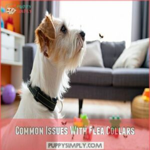 Common Issues With Flea Collars