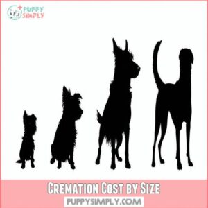 Cremation Cost by Size