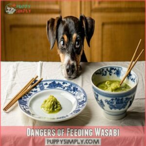 Dangers of Feeding Wasabi