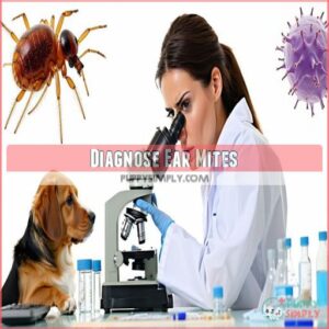 Diagnose Ear Mites