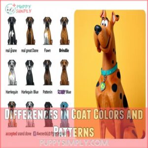 Differences in Coat Colors and Patterns