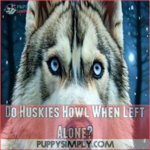 Do Huskies Howl When Left Alone