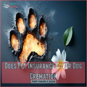 Does Pet Insurance Cover Dog Cremation