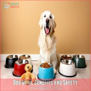 Dog Bowl Benefits and Safety