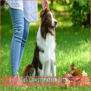 Dog Constipation Signs