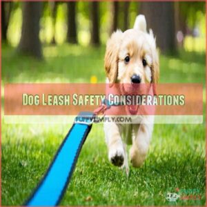 Dog Leash Safety Considerations