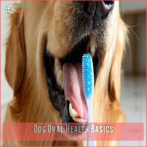 Dog Oral Health Basics