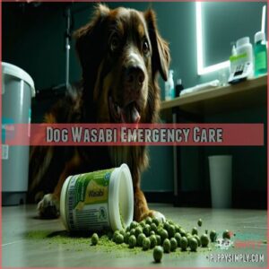 Dog Wasabi Emergency Care