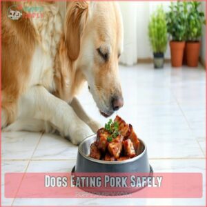 Dogs Eating Pork Safely