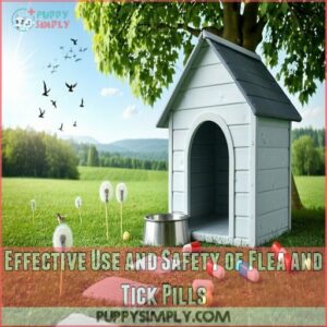 Effective Use and Safety of Flea and Tick Pills