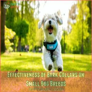 Effectiveness of Bark Collars on Small Dog Breeds