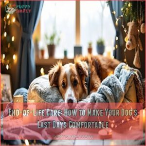 End-of-Life Care: How to Make Your Dog